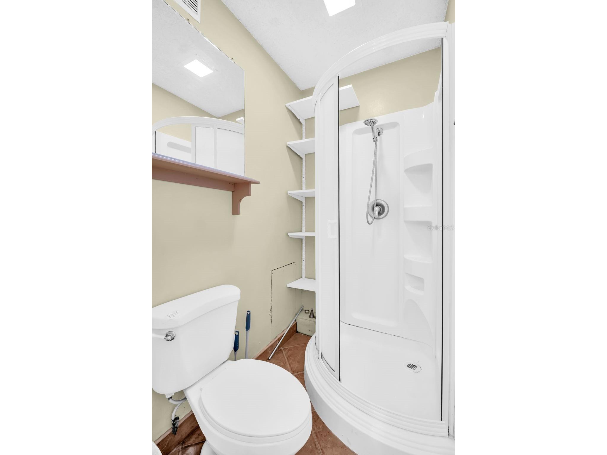 3109 Mission Grove Drive #D Palm Harbor FL 34684 TB8447950 image18