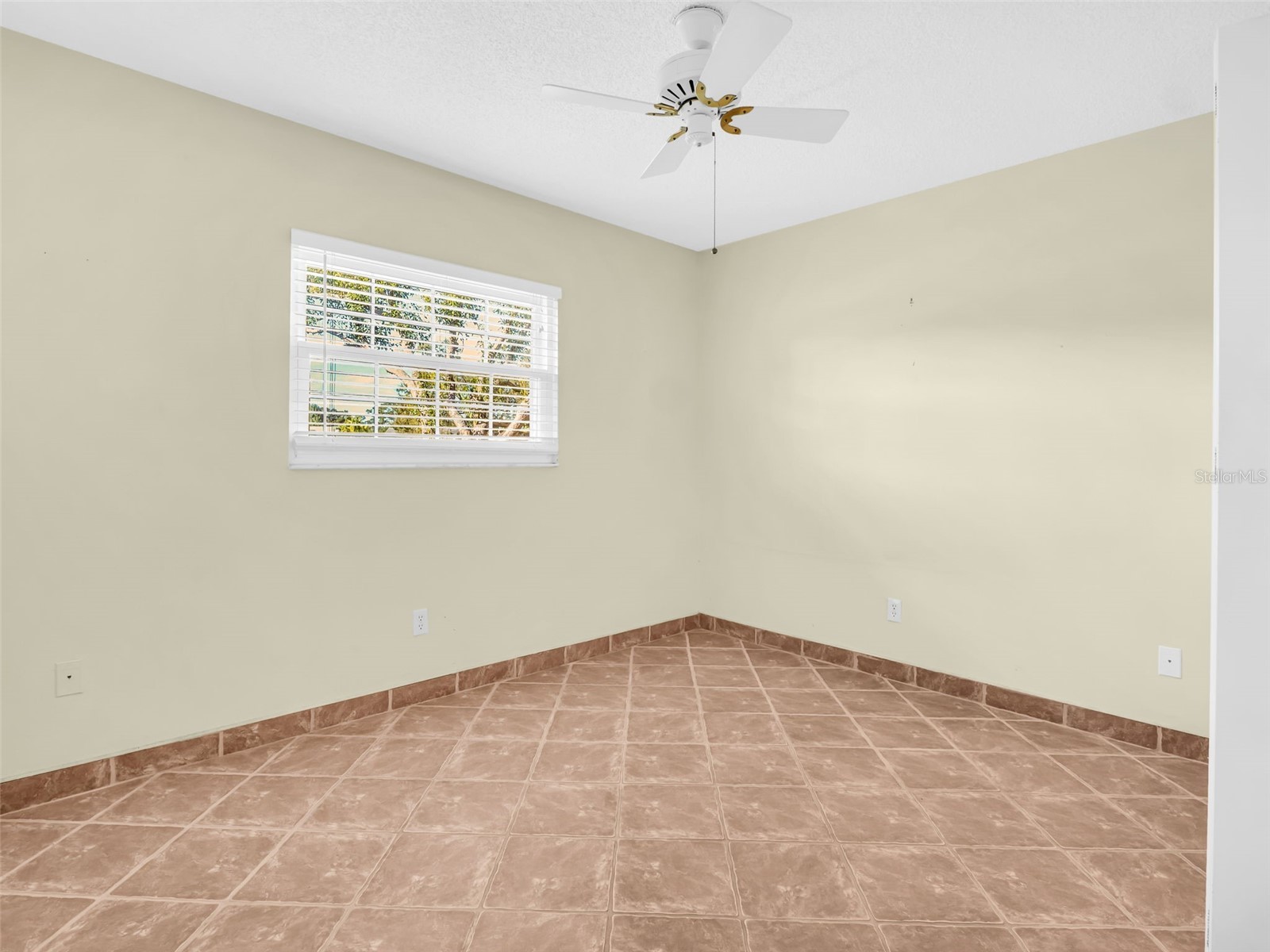 3109 Mission Grove Drive #D Palm Harbor FL 34684 TB8447950 image20