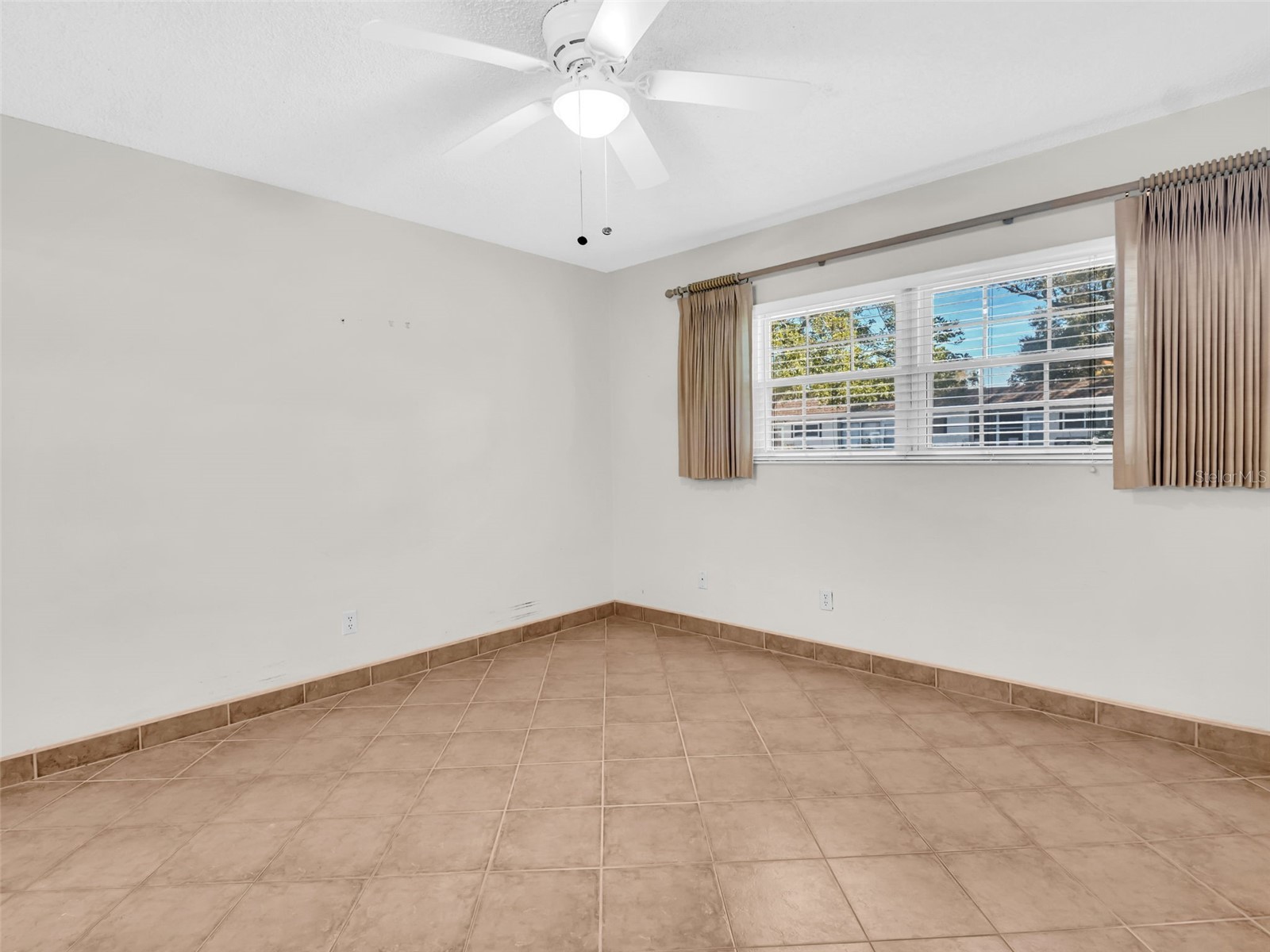 3109 Mission Grove Drive #D Palm Harbor FL 34684 TB8447950 image21
