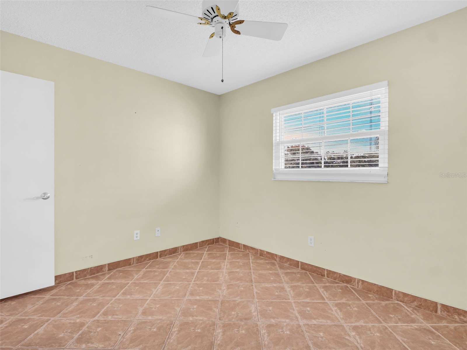3109 Mission Grove Drive #D Palm Harbor FL 34684 TB8447950 image24
