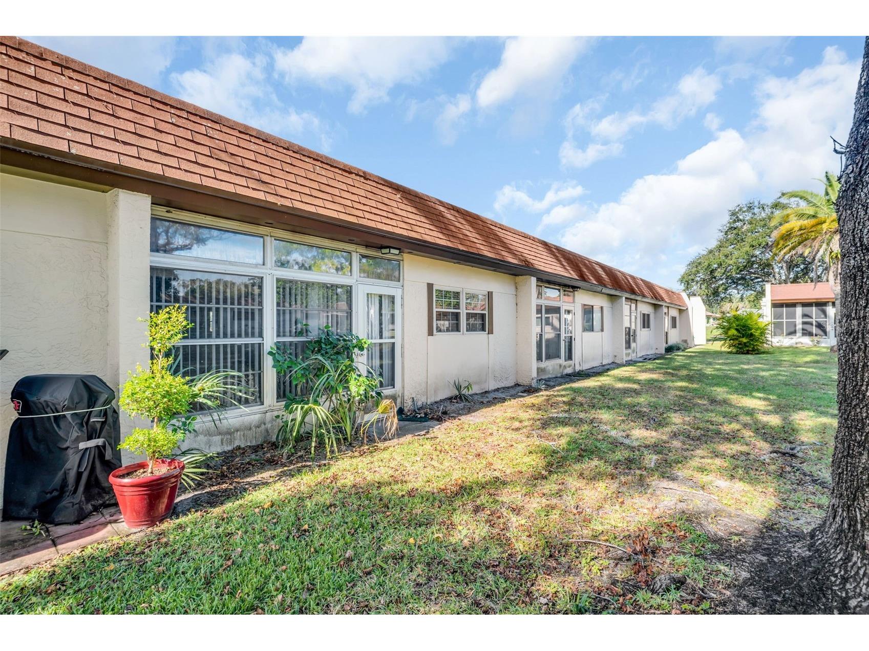 3109 Mission Grove Drive #D Palm Harbor FL 34684 TB8447950 image27