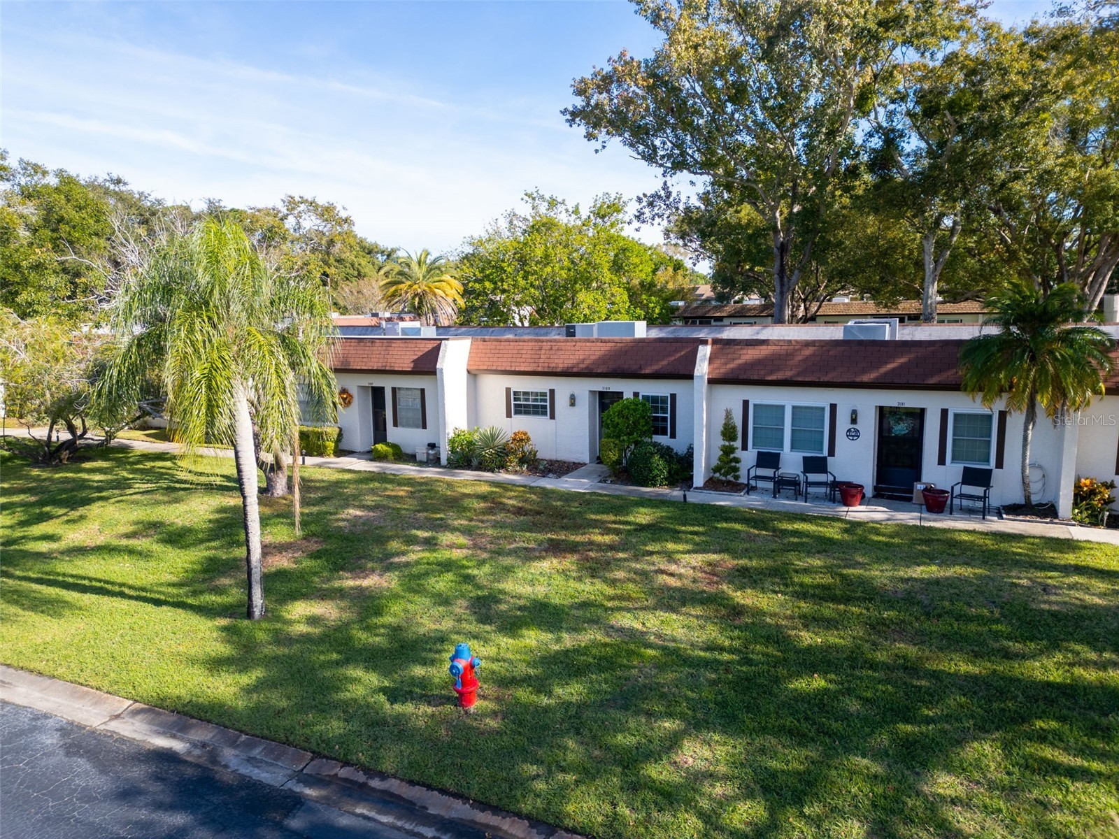 3109 Mission Grove Drive #D Palm Harbor FL 34684 TB8447950 image31