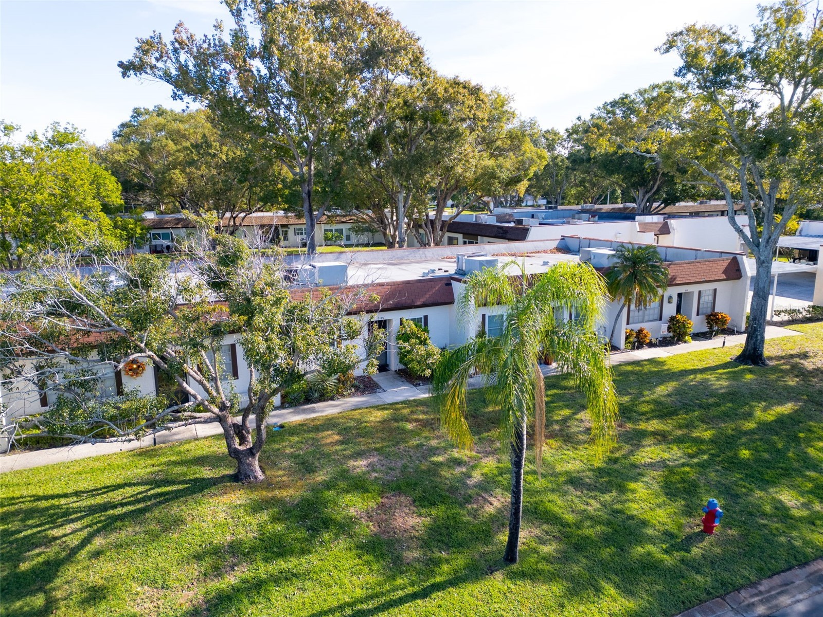 3109 Mission Grove Drive #D Palm Harbor FL 34684 TB8447950 image32