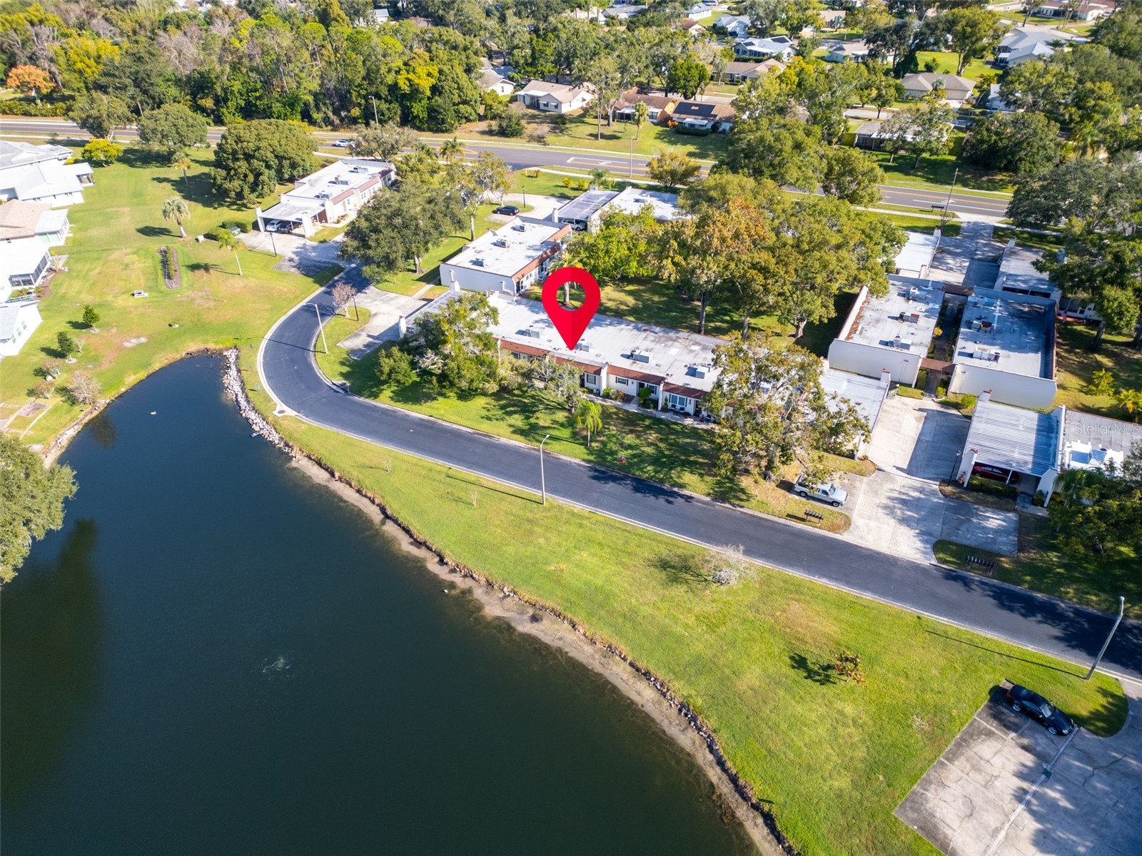 3109 Mission Grove Drive #D Palm Harbor FL 34684 TB8447950 image33