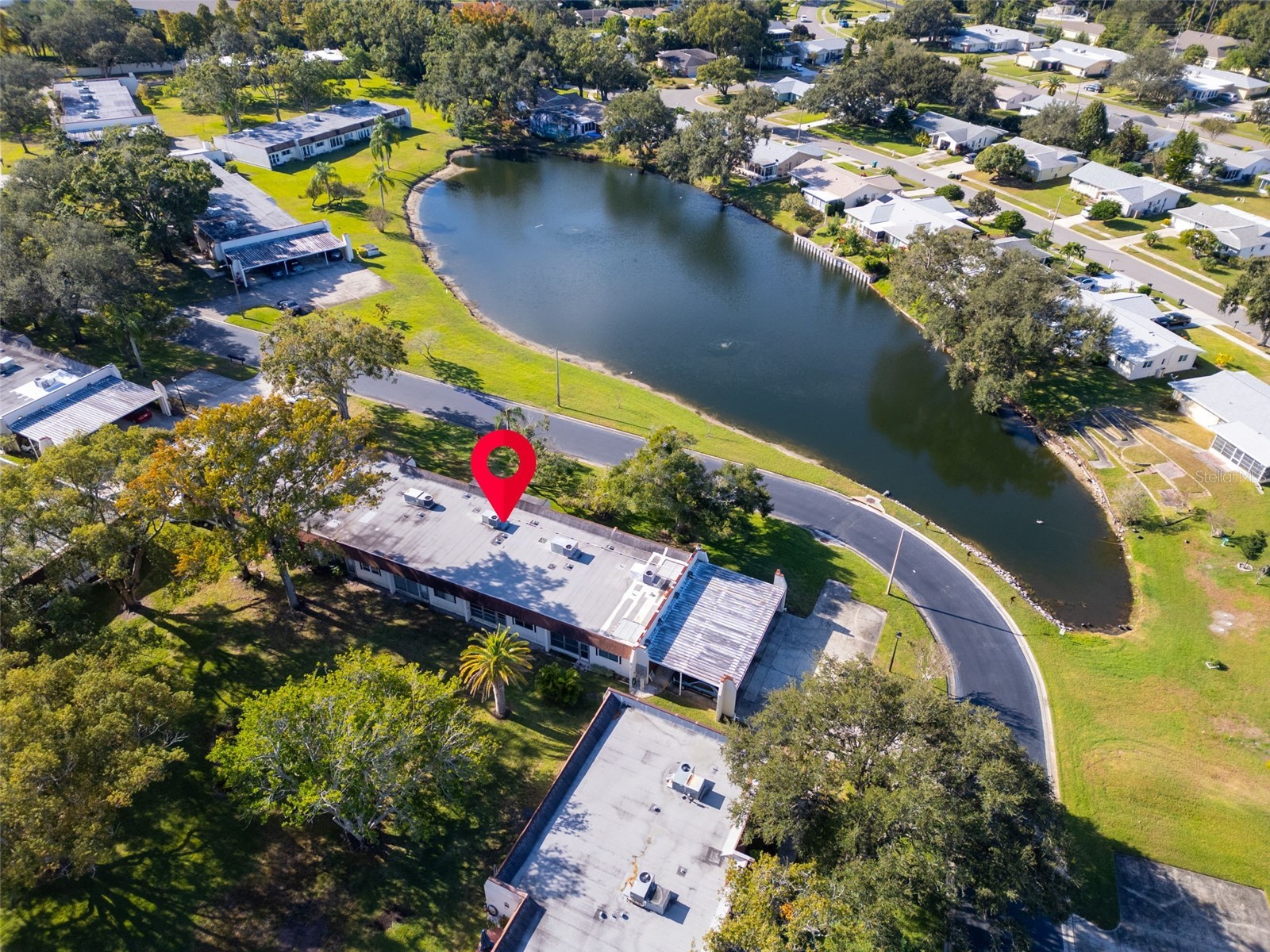 3109 Mission Grove Drive #D Palm Harbor FL 34684 TB8447950 image34