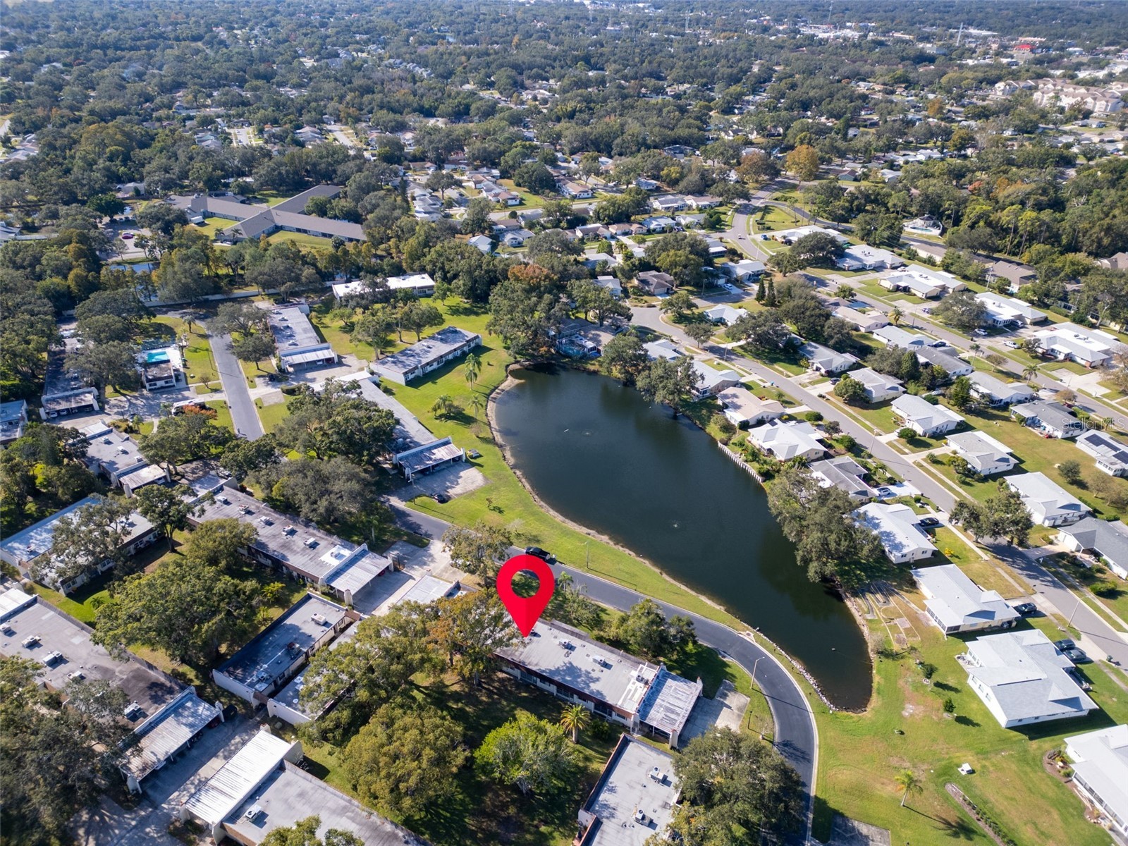 3109 Mission Grove Drive #D Palm Harbor FL 34684 TB8447950 image36