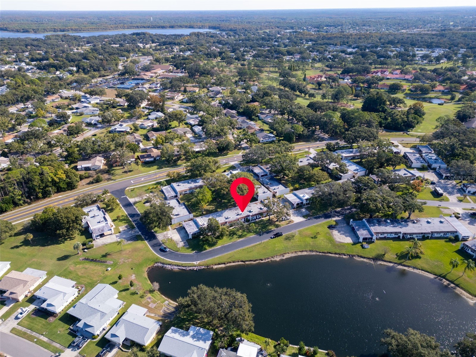 3109 Mission Grove Drive #D Palm Harbor FL 34684 TB8447950 image38