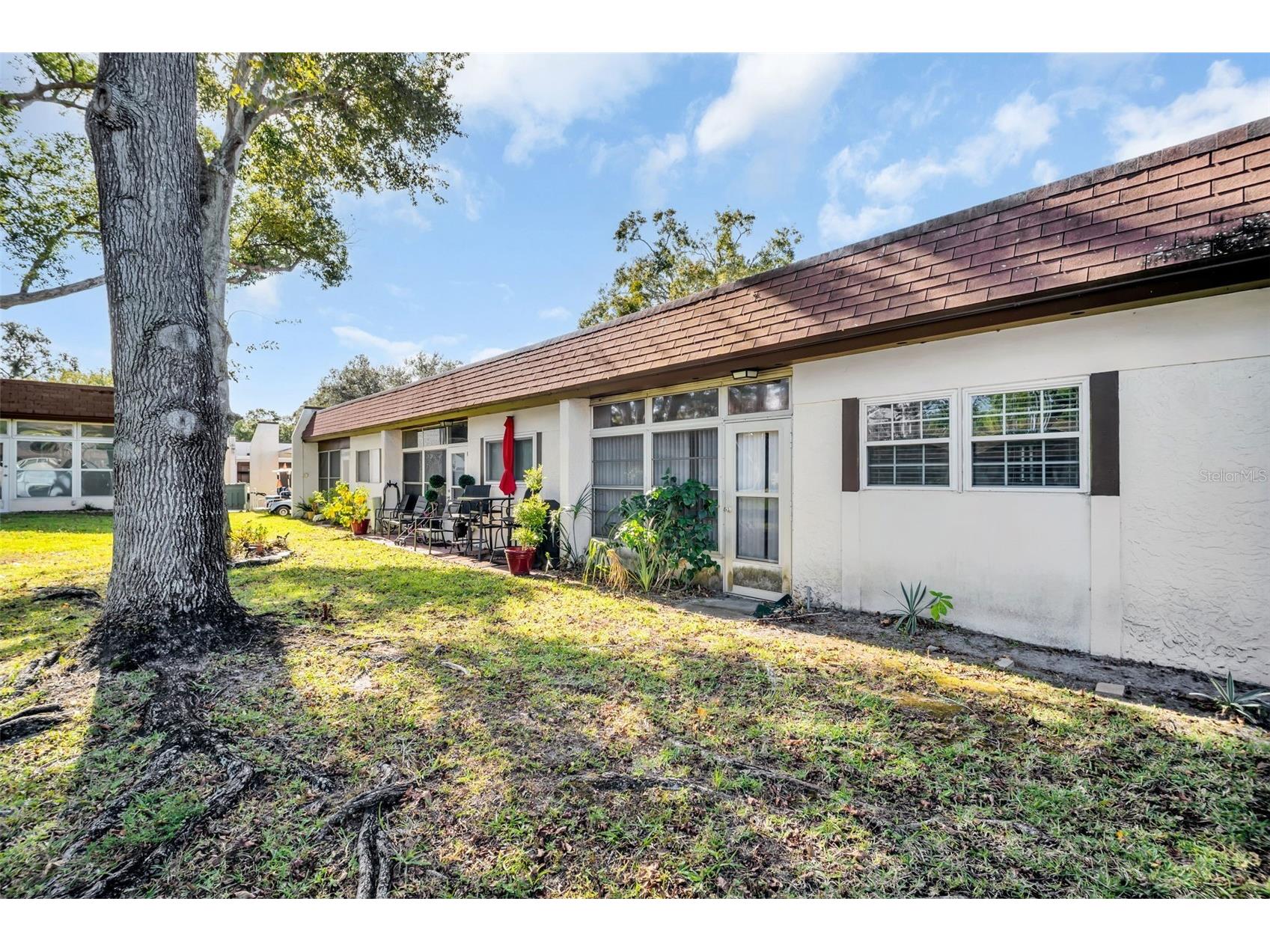 3109 Mission Grove Drive #D Palm Harbor FL 34684 TB8447950 image41