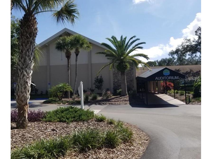 3109 Mission Grove Drive #D Palm Harbor FL 34684 TB8447950 image43