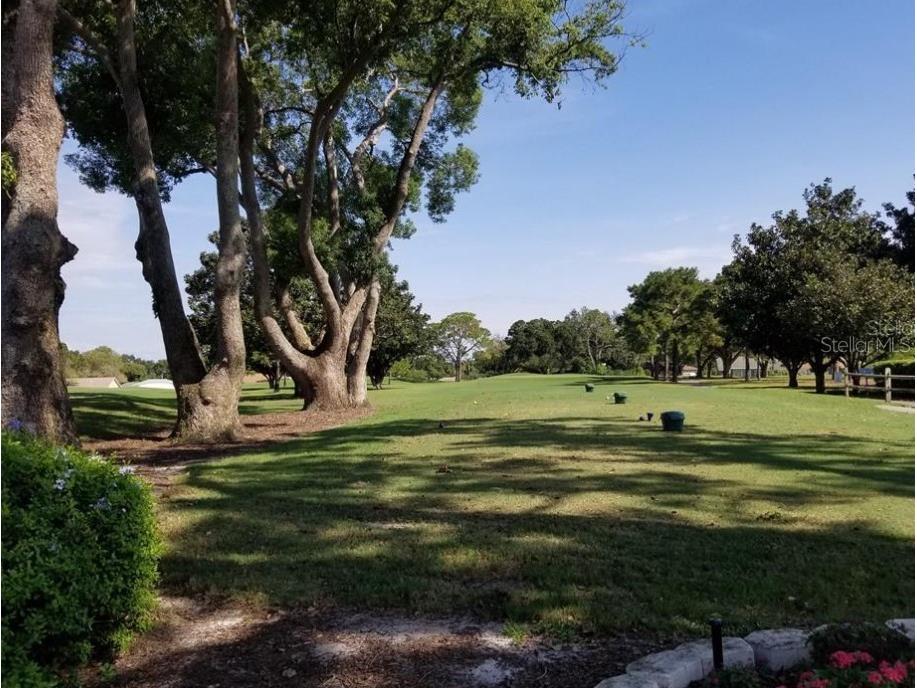 3109 Mission Grove Drive #D Palm Harbor FL 34684 TB8447950 image44