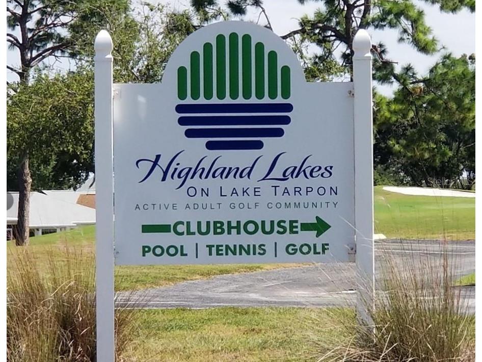 3109 Mission Grove Drive #D Palm Harbor FL 34684 TB8447950 image46