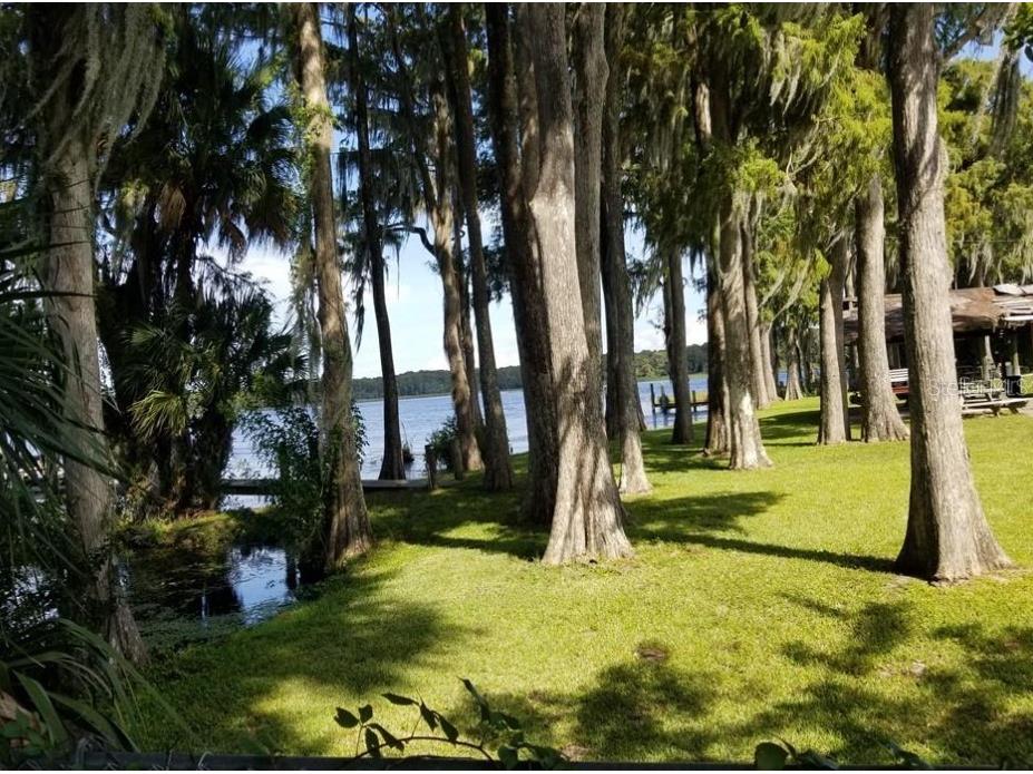 3109 Mission Grove Drive #D Palm Harbor FL 34684 TB8447950 image48