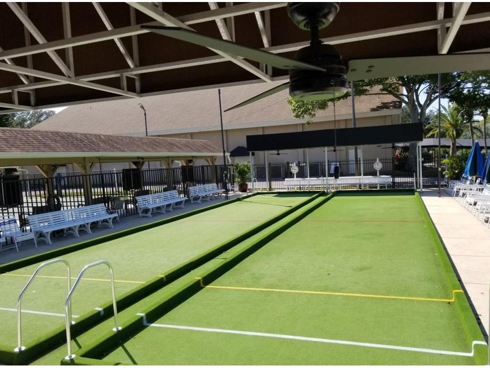 3109 Mission Grove Drive #D Palm Harbor FL 34684 TB8447950 image49