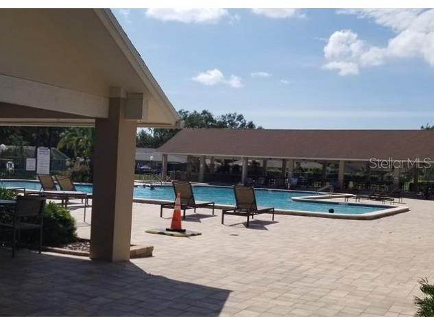 3109 Mission Grove Drive #D Palm Harbor FL 34684 TB8447950 image50