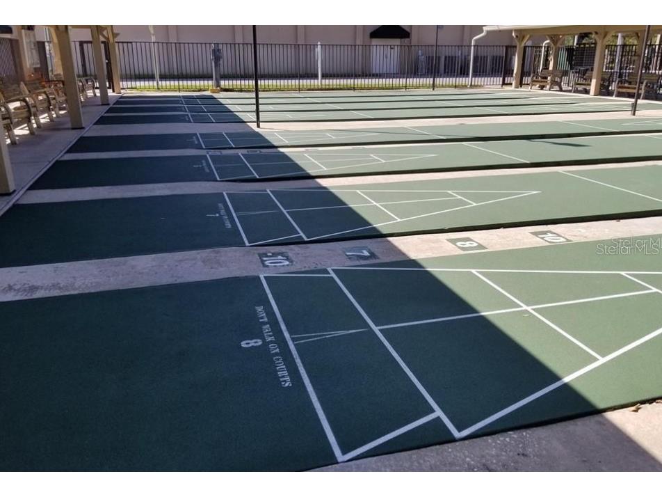 3109 Mission Grove Drive #D Palm Harbor FL 34684 TB8447950 image51