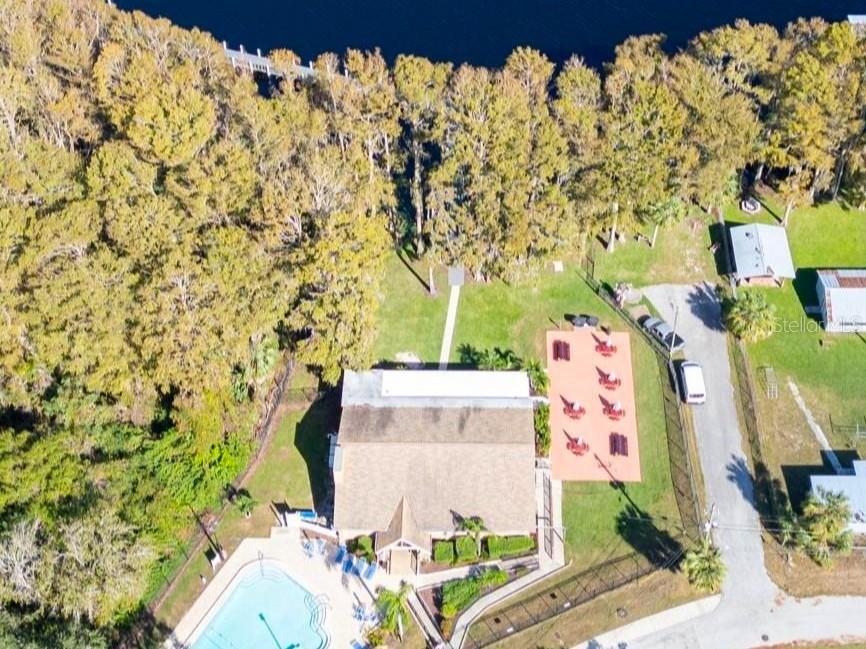 3109 Mission Grove Drive #D Palm Harbor FL 34684 TB8447950 image53