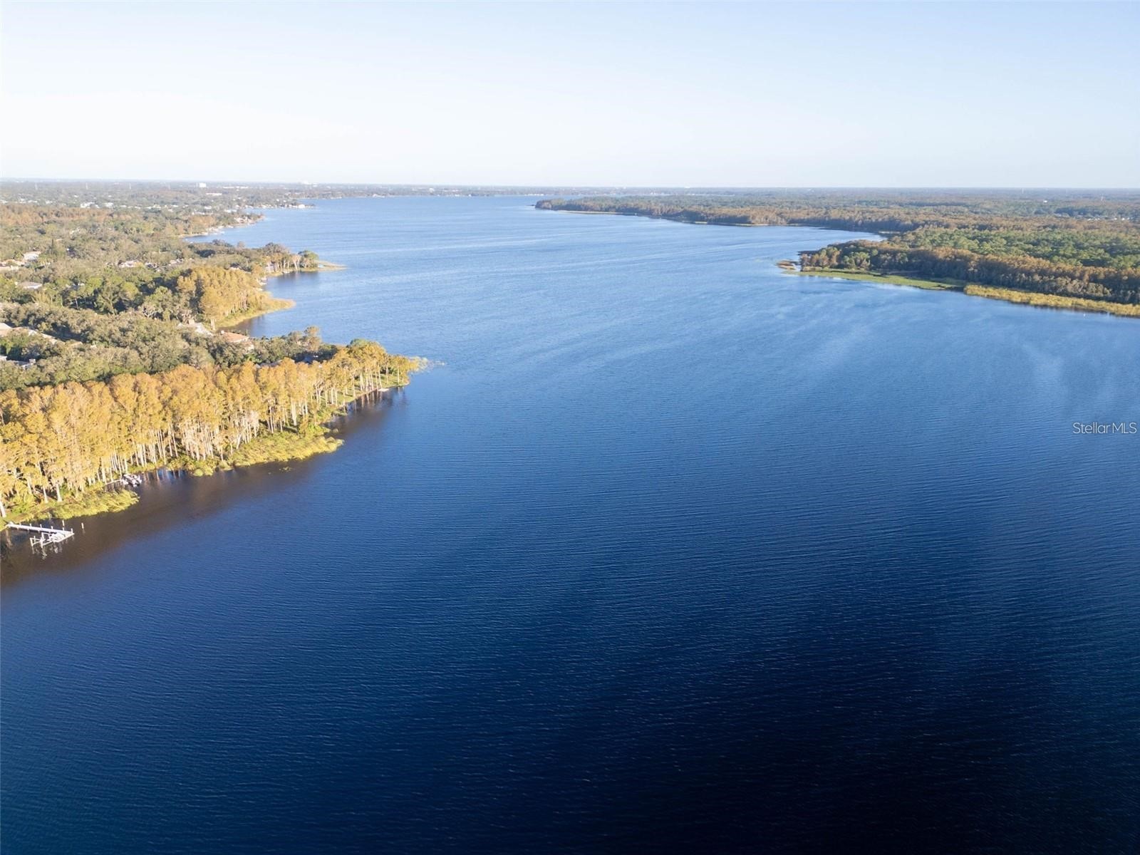 3109 Mission Grove Drive #D Palm Harbor FL 34684 TB8447950 image55