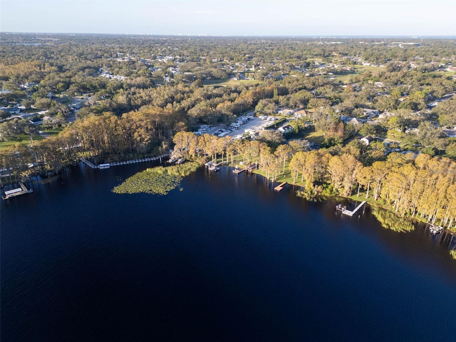 3109 Mission Grove Drive #D Palm Harbor FL 34684 TB8447950 image56