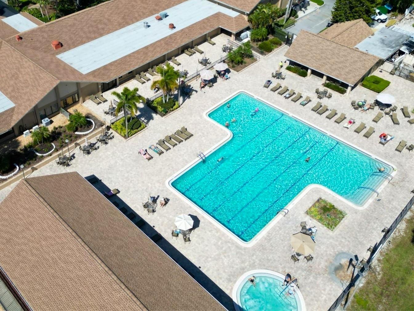 3109 Mission Grove Drive #D Palm Harbor FL 34684 TB8447950 image60