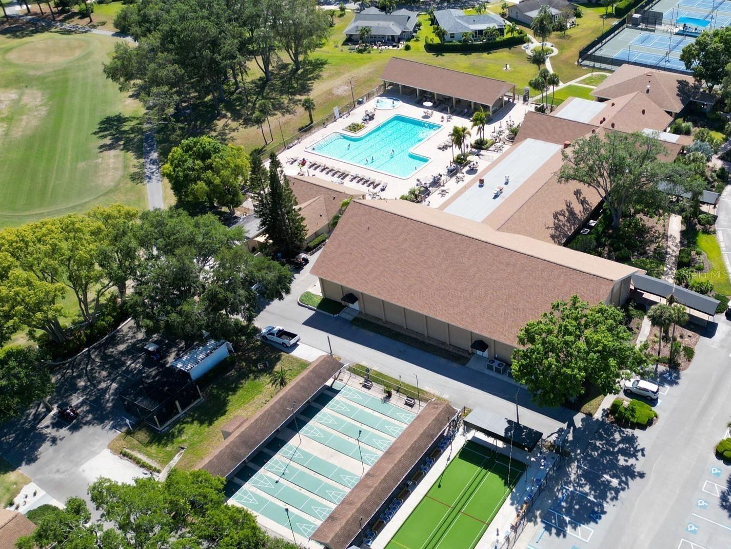 3109 Mission Grove Drive #D Palm Harbor FL 34684 TB8447950 image61