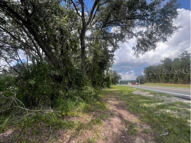 3109 N Us Highway 129 Bell FL 32619 GC533205 image10