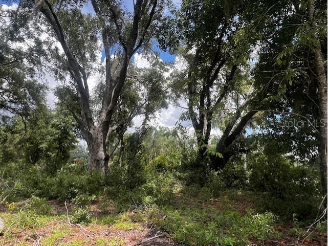 3109 N Us Highway 129 Bell FL 32619 GC533205 image12