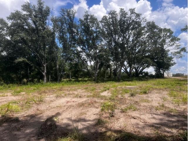 3109 N Us Highway 129 Bell FL 32619 GC533205 image13