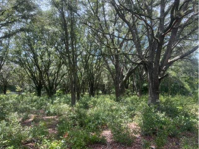 3109 N Us Highway 129 Bell FL 32619 GC533205 image14