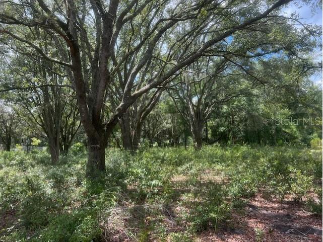 3109 N Us Highway 129 Bell FL 32619 GC533205 image15