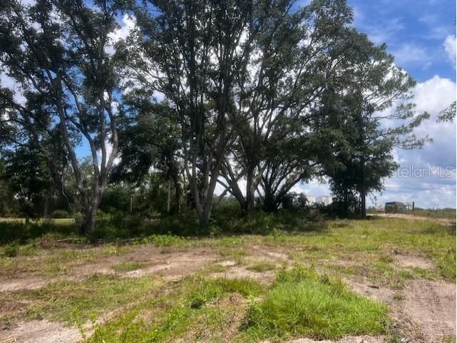 3109 N Us Highway 129 Bell FL 32619 GC533205 image16