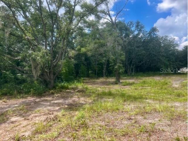 3109 N Us Highway 129 Bell FL 32619 GC533205 image17