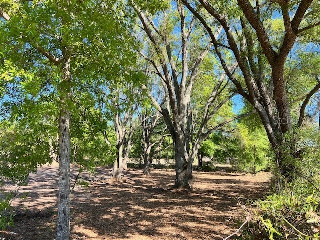 3109 N Us Highway 129 Bell FL 32619 GC533205 image2