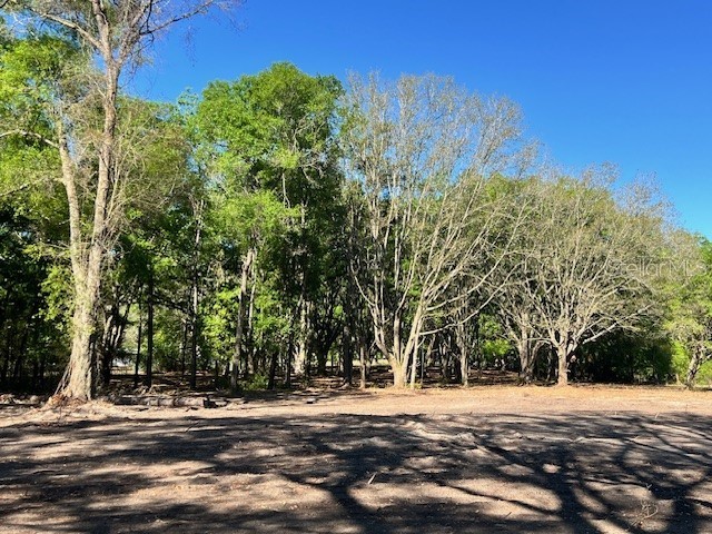 3109 N Us Highway 129 Bell FL 32619 GC533205 image6