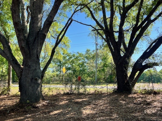 3109 N Us Highway 129 Bell FL 32619 GC533205 image7