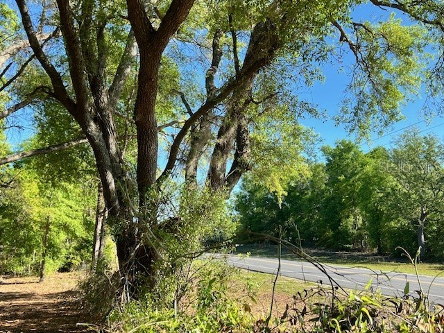 3109 N Us Highway 129 Bell FL 32619 GC533205 image9