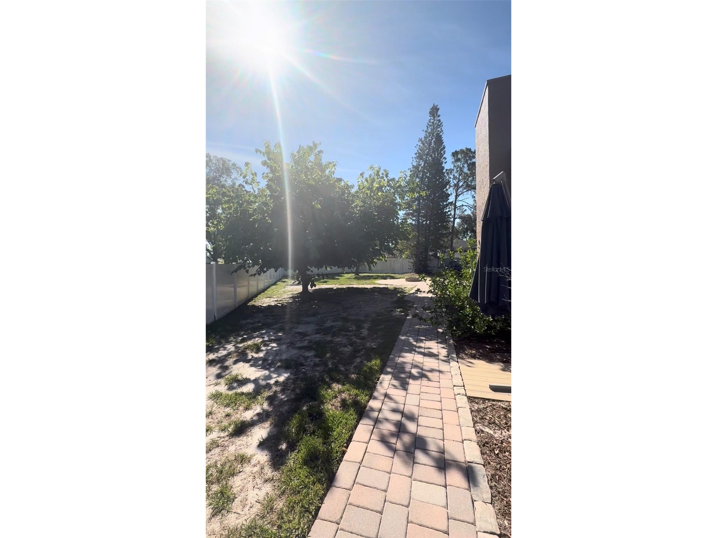 3109 Reseda Court Tampa FL 33618 O6422478 image32