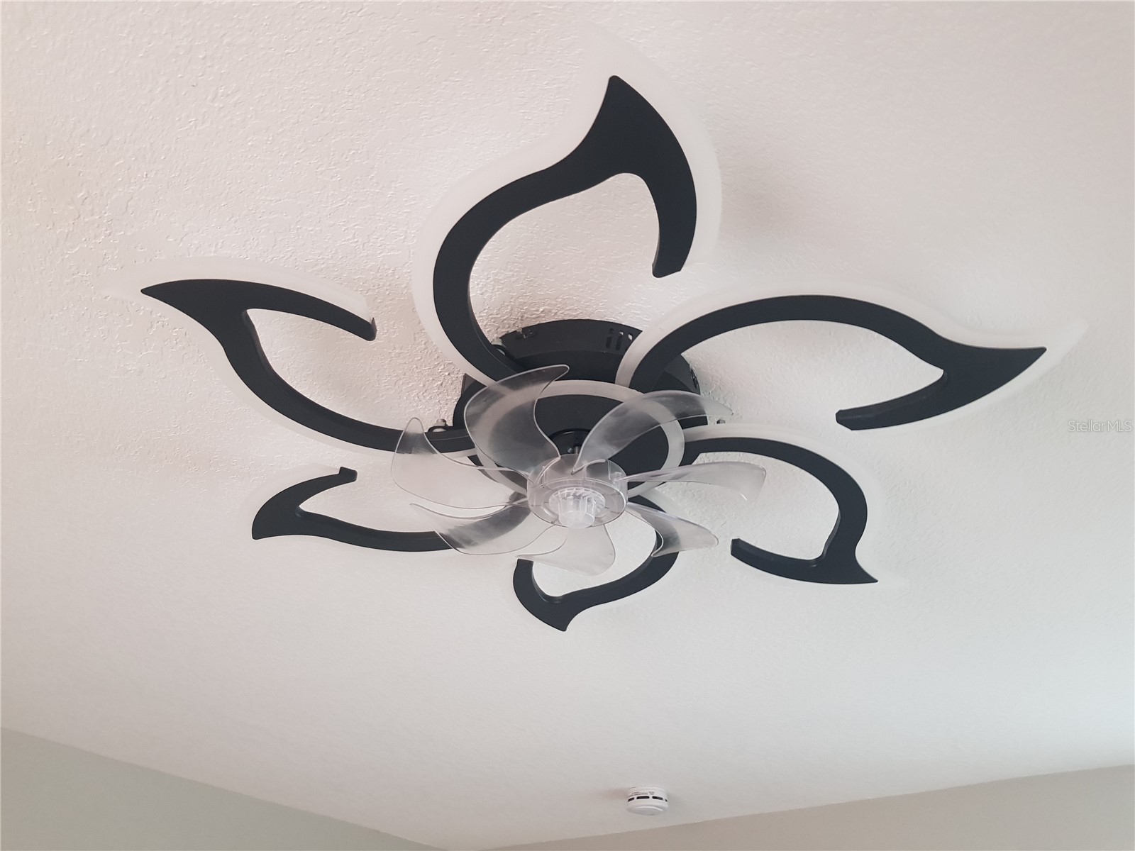 311 58th Avenue E Bradenton FL 34203 A4688795 image32