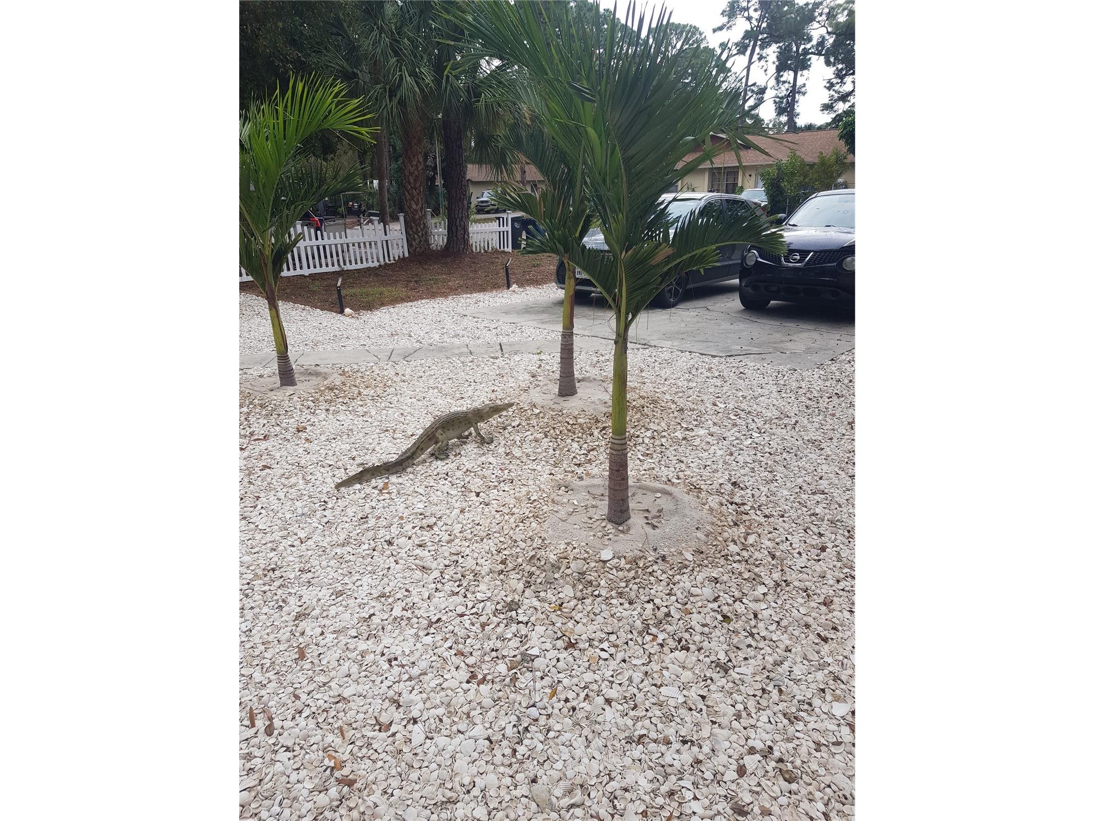 311 58th Avenue E Bradenton FL 34203 A4688795 image96