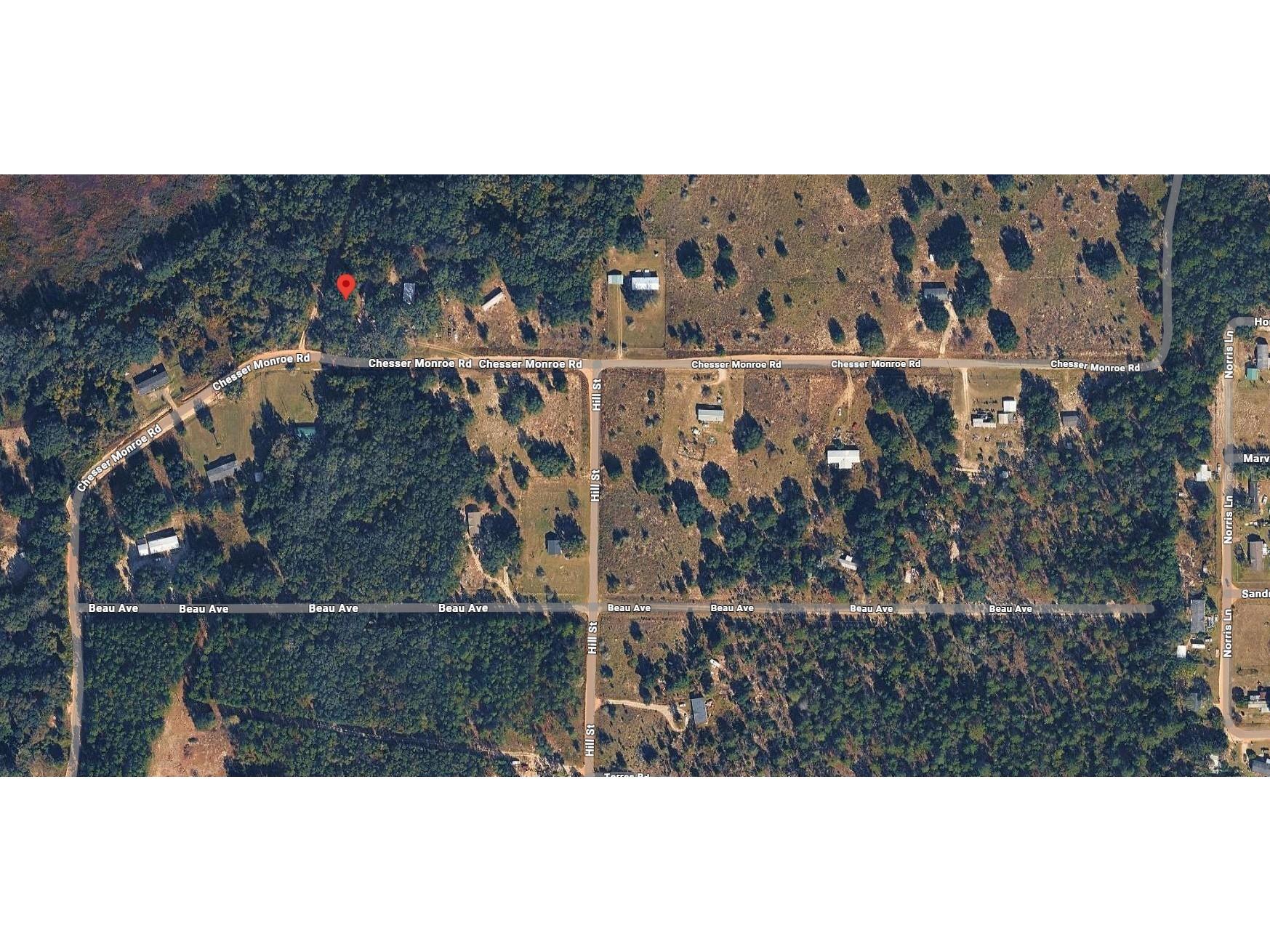 311 Chesser Monroe Road Hawthorne FL 32640 O6407689 image11