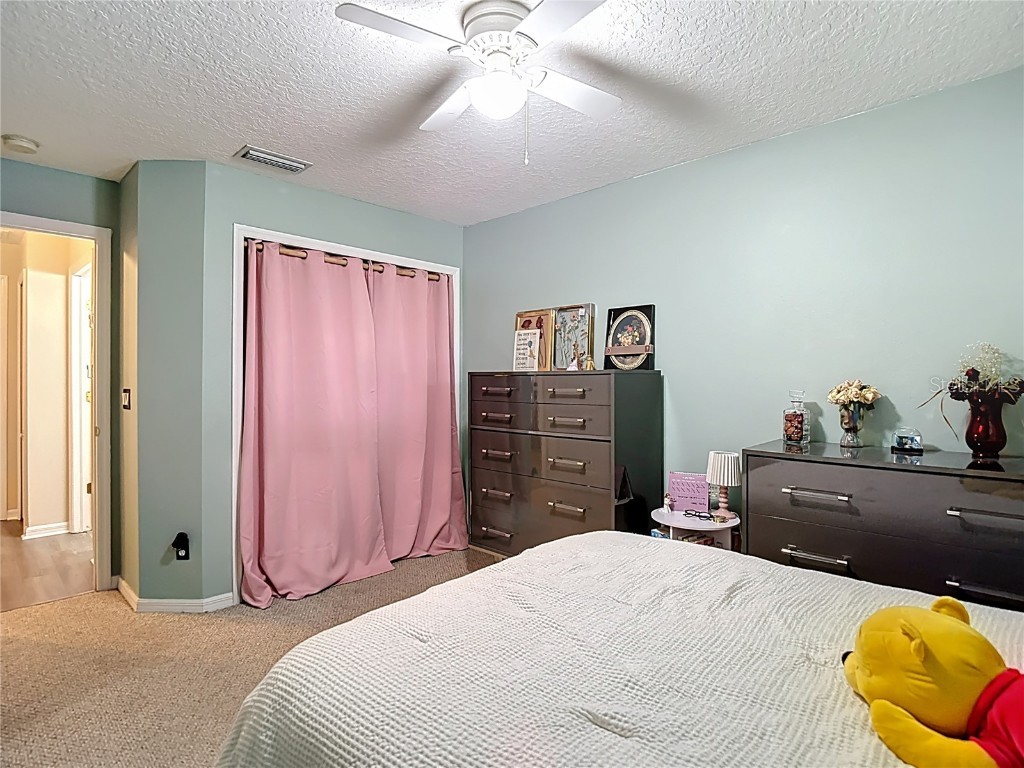 311 Golden Elm Drive Seffner FL 33584 TB8427396 image23