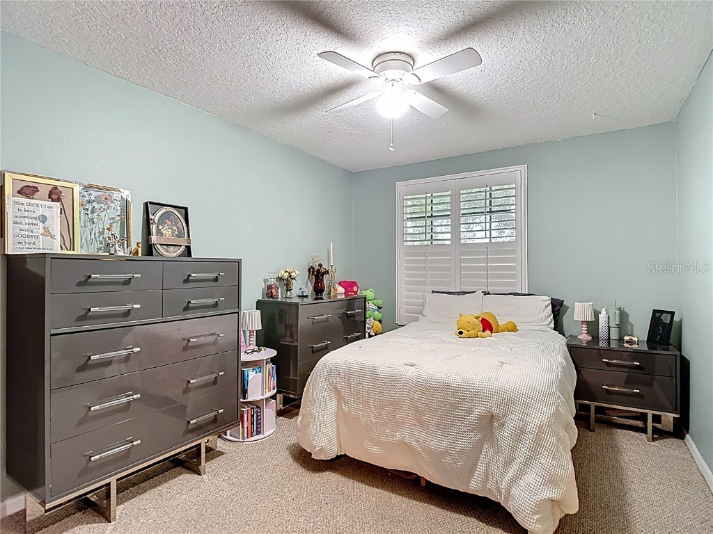 311 Golden Elm Drive Seffner FL 33584 TB8427396 image24