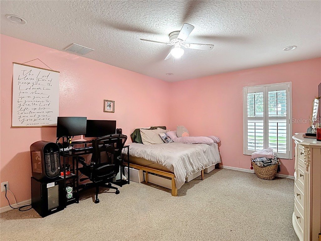 311 Golden Elm Drive Seffner FL 33584 TB8427396 image25