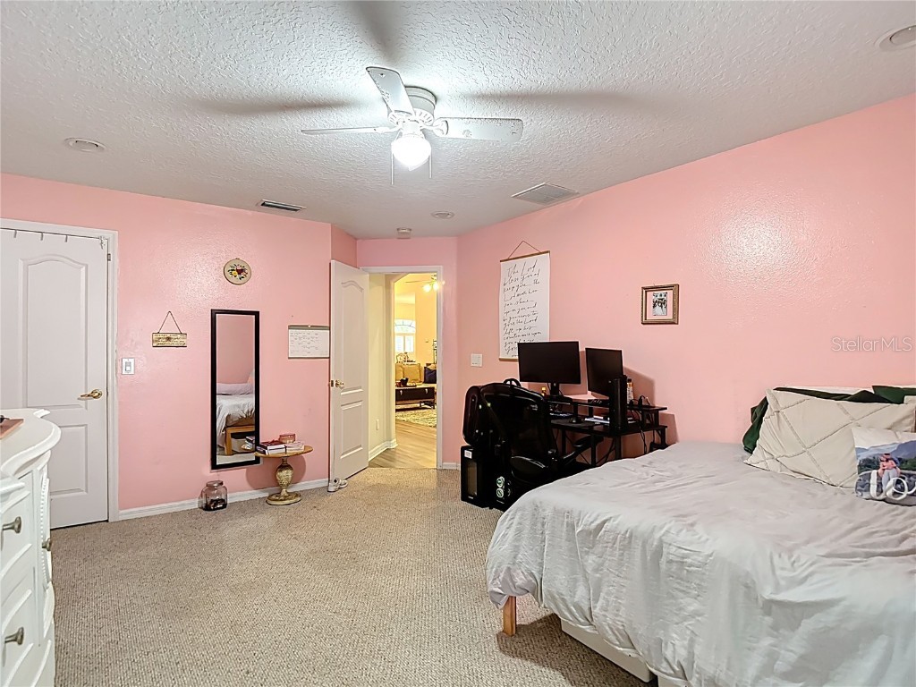 311 Golden Elm Drive Seffner FL 33584 TB8427396 image26