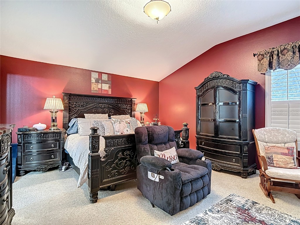 311 Golden Elm Drive Seffner FL 33584 TB8427396 image29