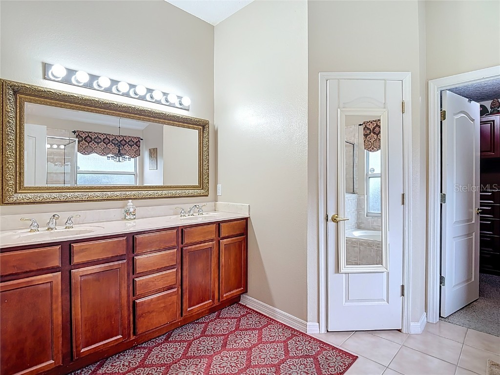 311 Golden Elm Drive Seffner FL 33584 TB8427396 image30