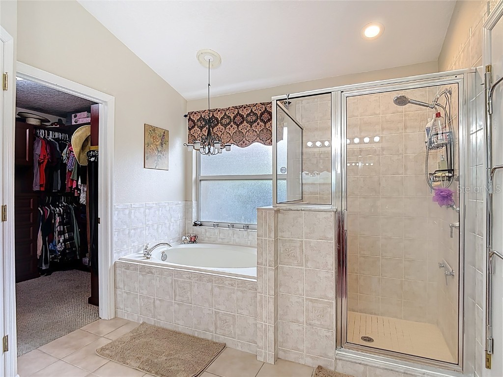 311 Golden Elm Drive Seffner FL 33584 TB8427396 image31