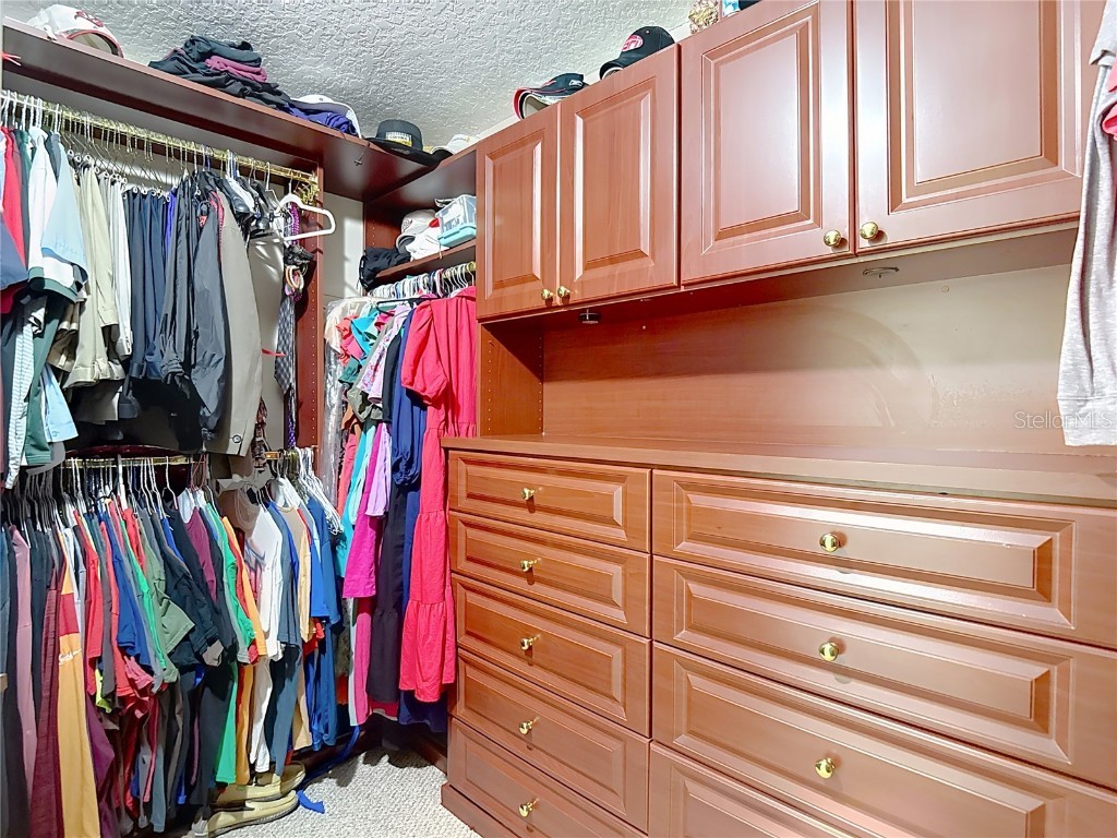 311 Golden Elm Drive Seffner FL 33584 TB8427396 image32