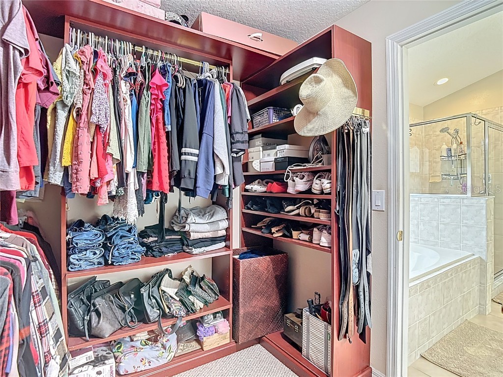 311 Golden Elm Drive Seffner FL 33584 TB8427396 image33