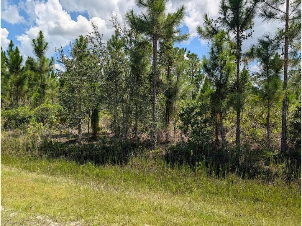 311 Hibiscus Drive Indian Lake Estates FL 33855 - LAKE WALK-IN-WATER TB8417626 image3