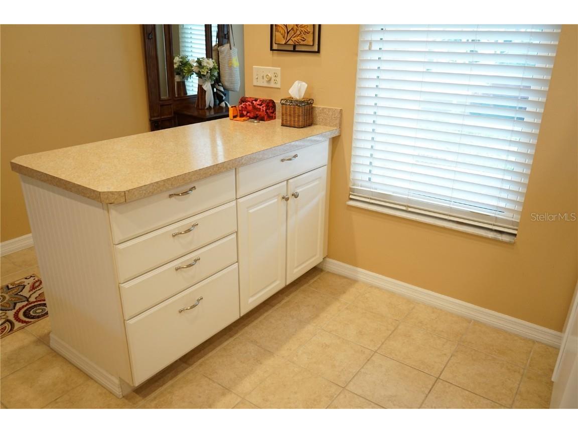 311 Kelsey Way #3 Sun City Center FL 33573 TB8453042 image10